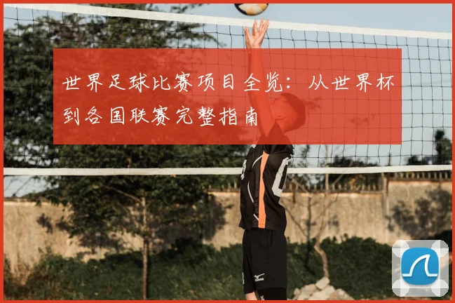 世界足球比赛项目全览：从世界杯到各国联赛完整指南