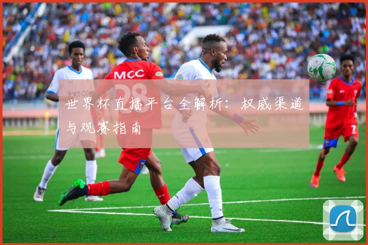 世界杯直播平台全解析:权威渠道与观赛指南